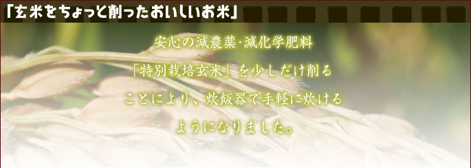 玄米を削ったお米の説明