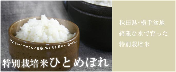 特別栽培ひとめぼれ
